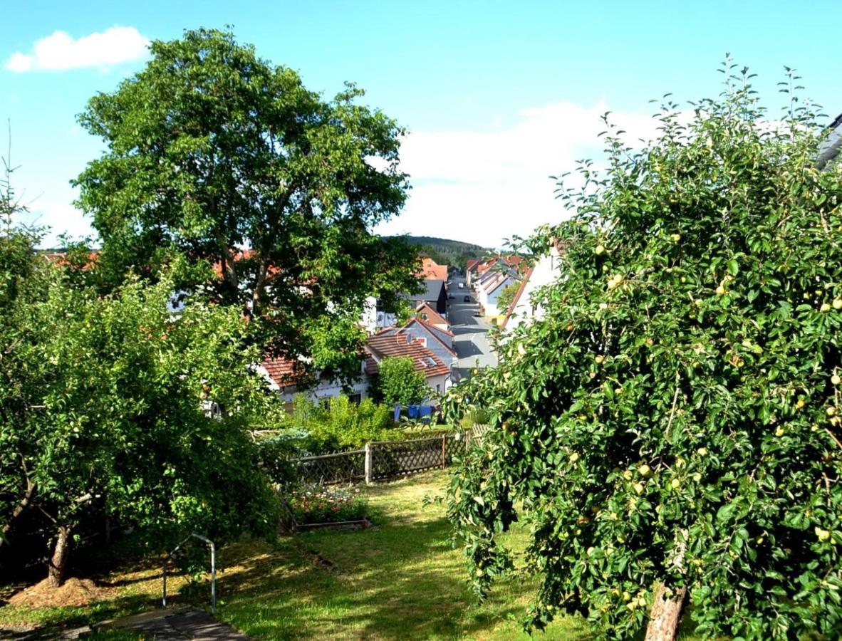 Frankenau Fewo Kellerwald Zewnętrze zdjęcie